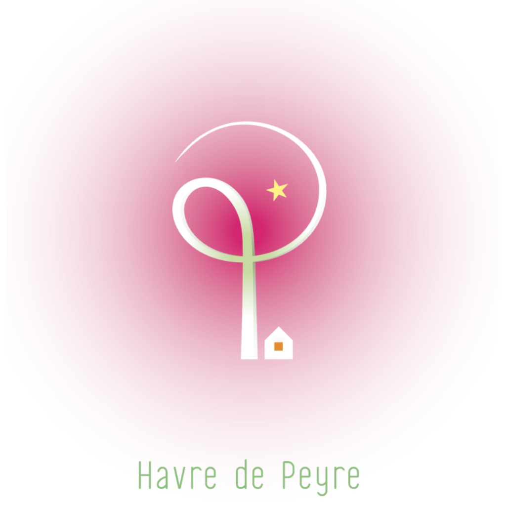 Formation sur la gestion des réseaux sociaux en Lozère avec Havre de Peyre